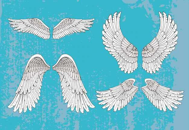 Free Vector | Set of four pairs of hand-drawn white wings in the open extended position with feather detail