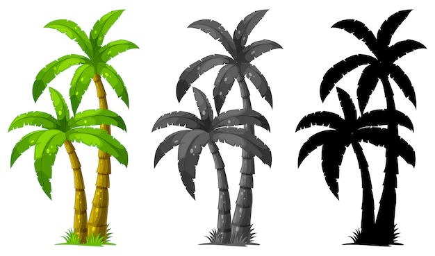 Free Vector | Set of palm tree