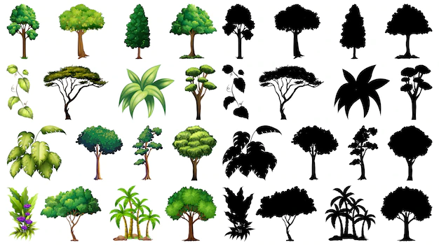 Free Vector | Set of plant and tree with its silhouette