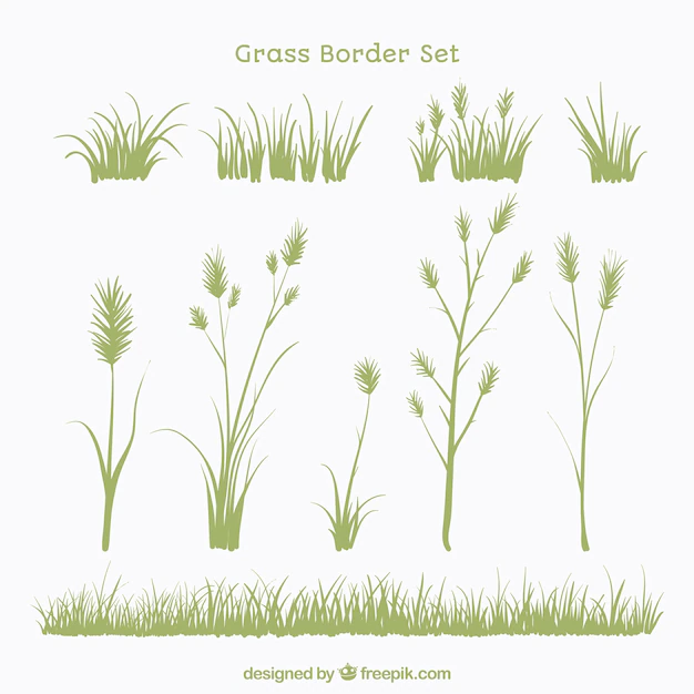 Free Vector | Set of plants and grass borders