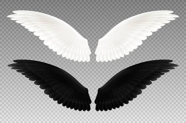Free Vector | Set of realistic black and white pair of wings on transparent  as symbol of good and evil isolated