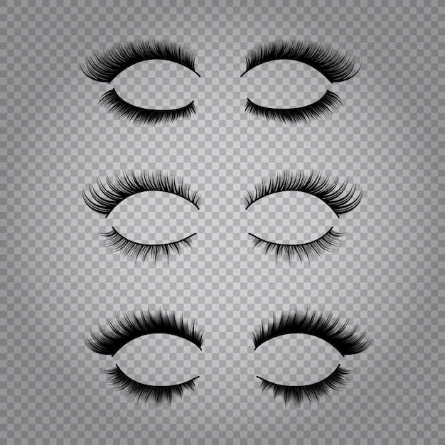 Free Vector | Set of realistic false lashes for upper and lower eye lids isolated on transparent background