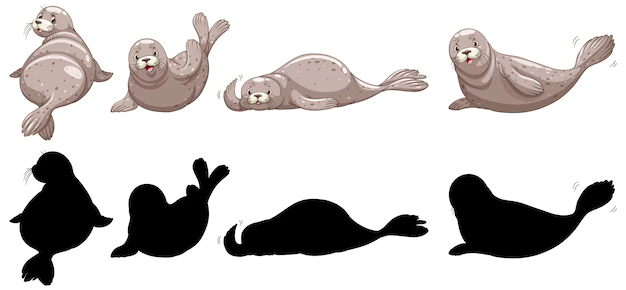 Free Vector | Set of seal characters and its silhouette on white