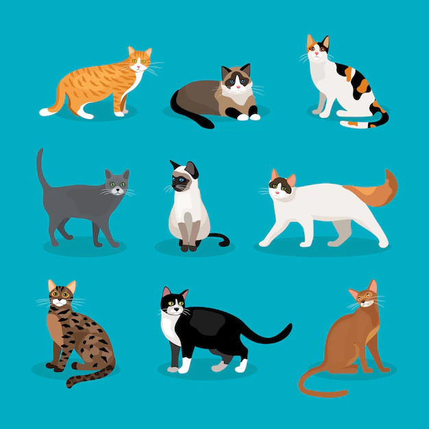 Free Vector | Set of vector cats depicting different breeds and fur color standing  sitting and walking