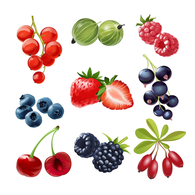 Free Vector | Set of vector icons  juicy ripe berries