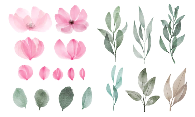 Free Vector | Set of watercolor flower and leaf for greeting and invitation card decoration.