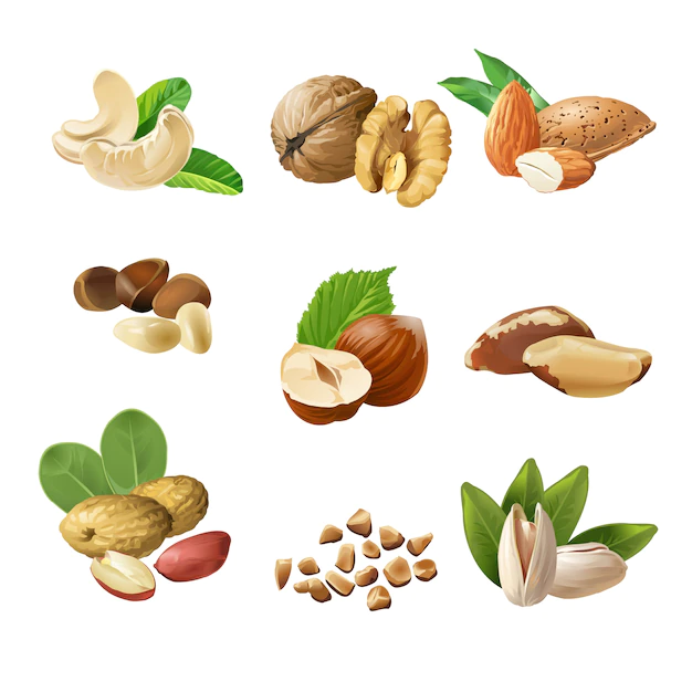 Free Vector | Set vector icons of nuts