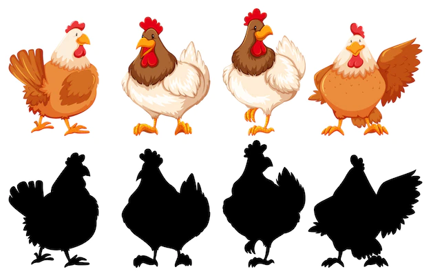 Free Vector | Silhouette, color and outline version of chickens