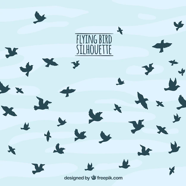 Free Vector | Silhouette flying bird background