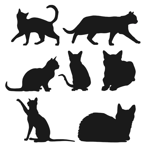 Free Vector | Silhouette of cats in different positions