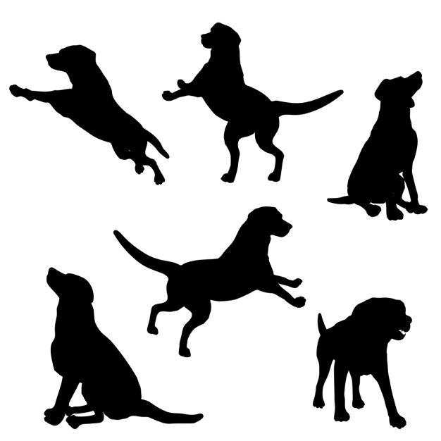 Free Vector | Silhouettes of a dog