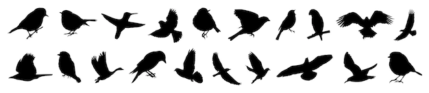 Free Vector | Silhouettes of birds different pack of bird silhouettes