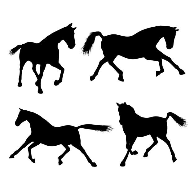 Free Vector | Silhouettes of horses