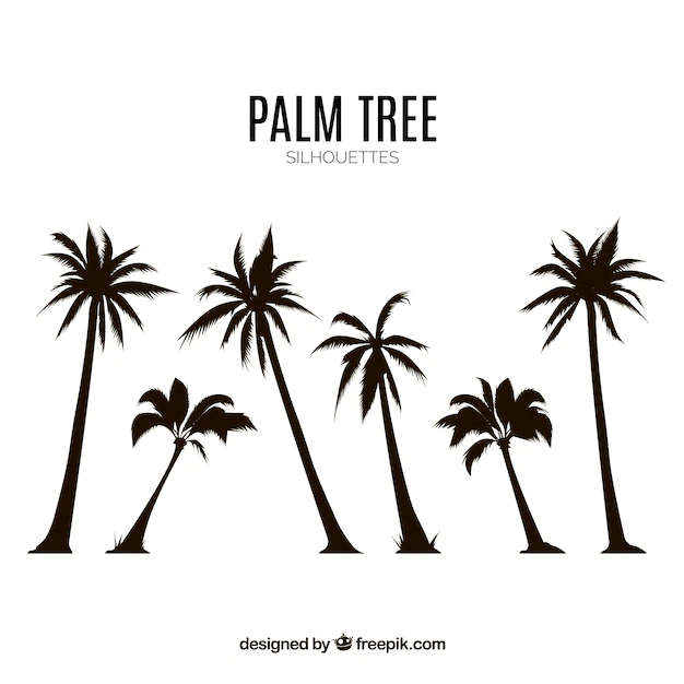 Free Vector | Silhouettes set of palm trees