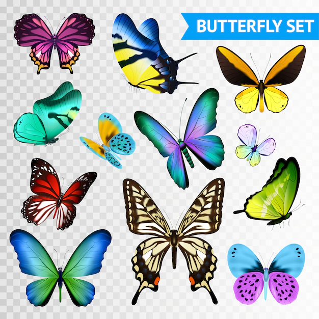 Free Vector | Small and big multicolored butterflies set isolated on transparent background