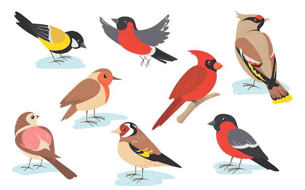 Free Vector | Snowy time winter birds flying or holding branch.
