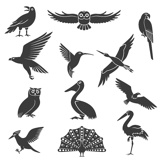 Free Vector | Stylized birds silhouettes black set