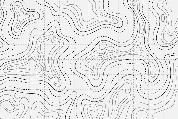 Free Vector | Topographic map background design