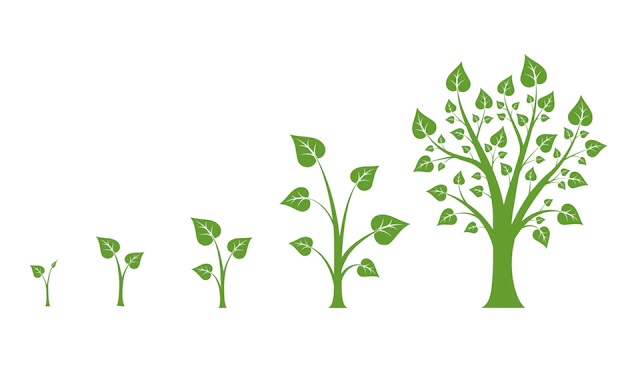 Free Vector | Tree growth vector diagram. green tree growth, nature leaf growth, plant growh illustration