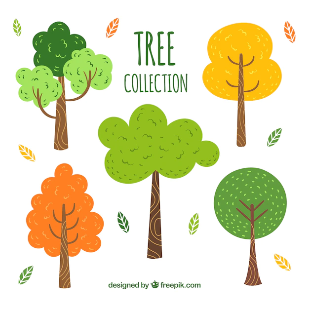 Free Vector | Trees collection in hand drawn style