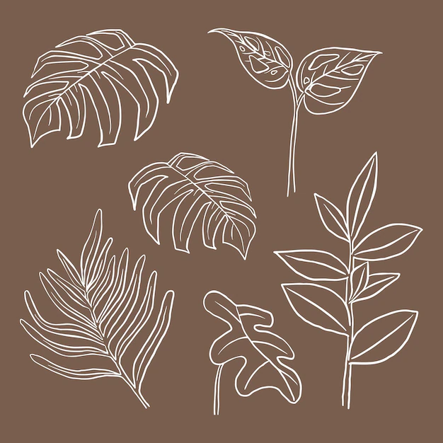 Free Vector | Tropical leaf vector doodle botanical illustration set