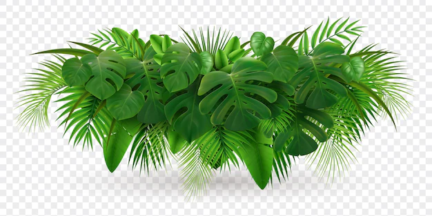 Free Vector | Tropical leaves palm branch realistic composition with image of green leaf pile isolated