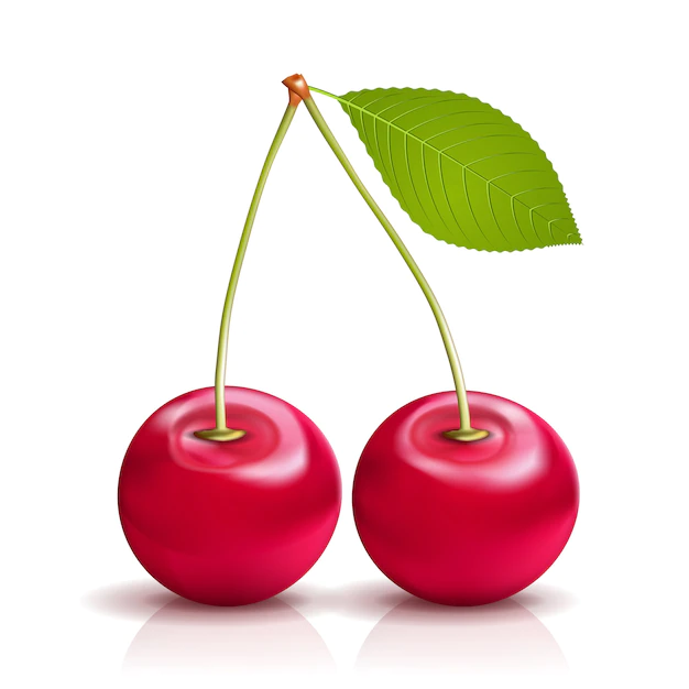 Free Vector | Two realistic vector cherries with leaf isolated on white background