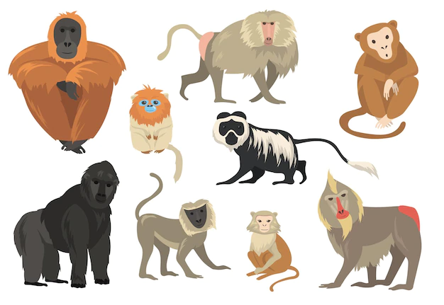 Free Vector | Variety of funny exotic monkeys and apes flat set