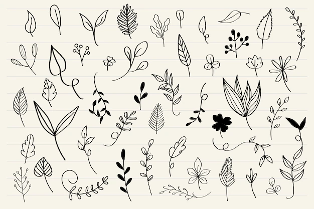Free Vector | Various leaves doodle collection vector