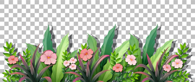 Free Vector | Various tropical plants on transparent background