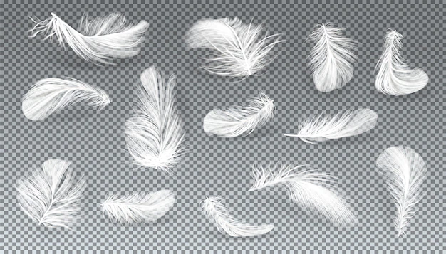 Free Vector | Vector 3d realistic set of white bird or angel feathers in various shapes