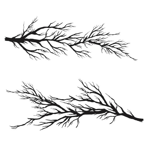 Free Vector | Vector branches collection