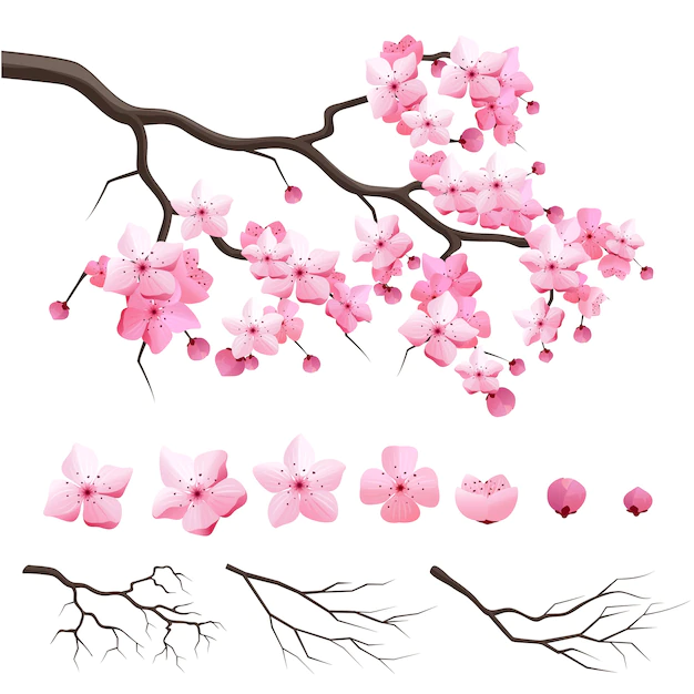 Free Vector | Vector japan sakura cherry branch with blooming flowers. design constructor with blooming cherry branch