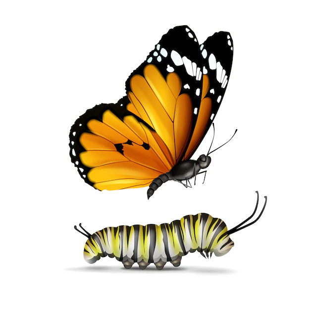 Free Vector | Vector realistic plain tiger or african monarch butterfly and caterpillar close up side view isolated on white background