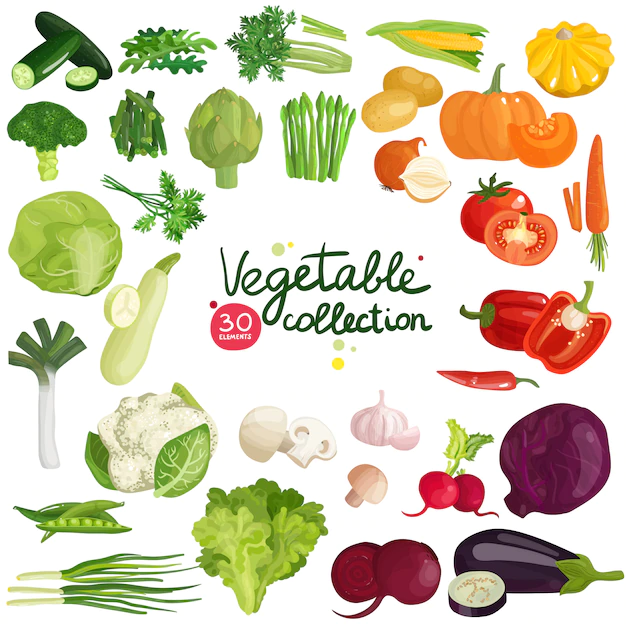 Free Vector | Vegetables and herbs collection