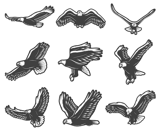 Free Vector | Vintage beautiful flying eagles set