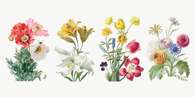 Free Vector | Vintage flower botanical illustration set