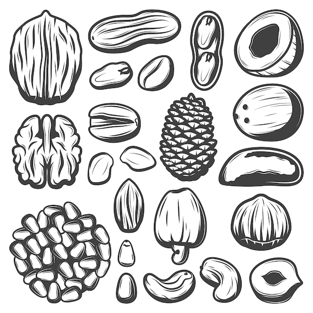 Free Vector | Vintage organic nuts collection with coconut pistachio cashew pecan almond peanut walnut macadamia brazil pine nuts isolated