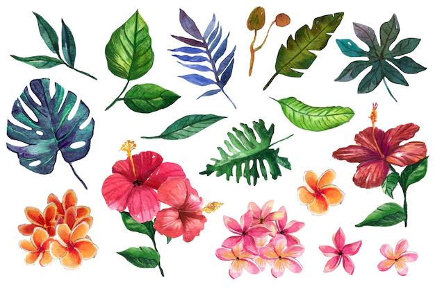 Free Vector | Warm coloured flowers and tropical leaves