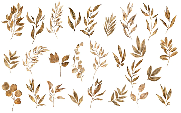 Free Vector | Watercolor dry plants collection