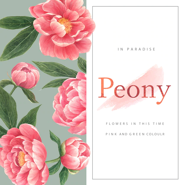Free Vector | Watercolor peony flowers card