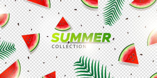 Free Vector | Watermelon summer overlay