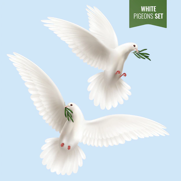 Free Vector | White dove set with olive branch