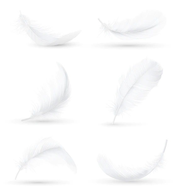 Free Vector | White feathers realistic set