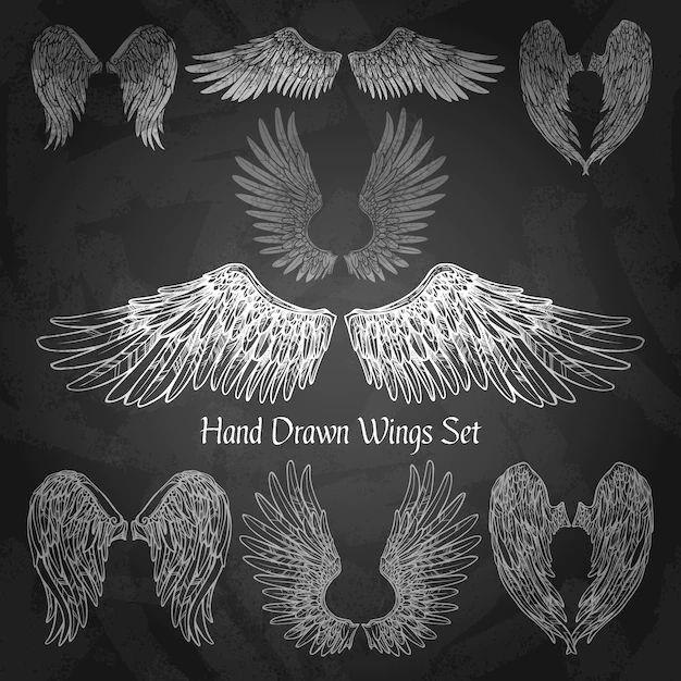 Free Vector | Wings chalkboard set