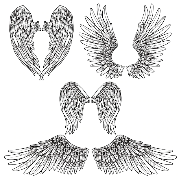 Free Vector | Wings sketch set