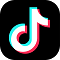 TikTok downloader