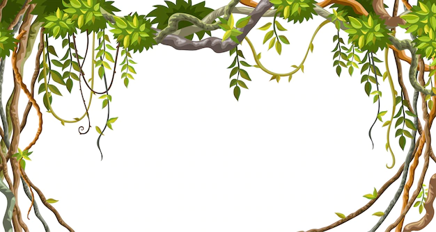 Free Vector | Frame of liana branches and tropical leaves.