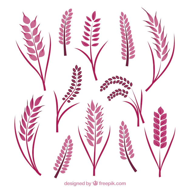 Free Vector | Flat wheat collection