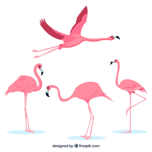 Free Vector | Flamingos collection with different postures in flat style